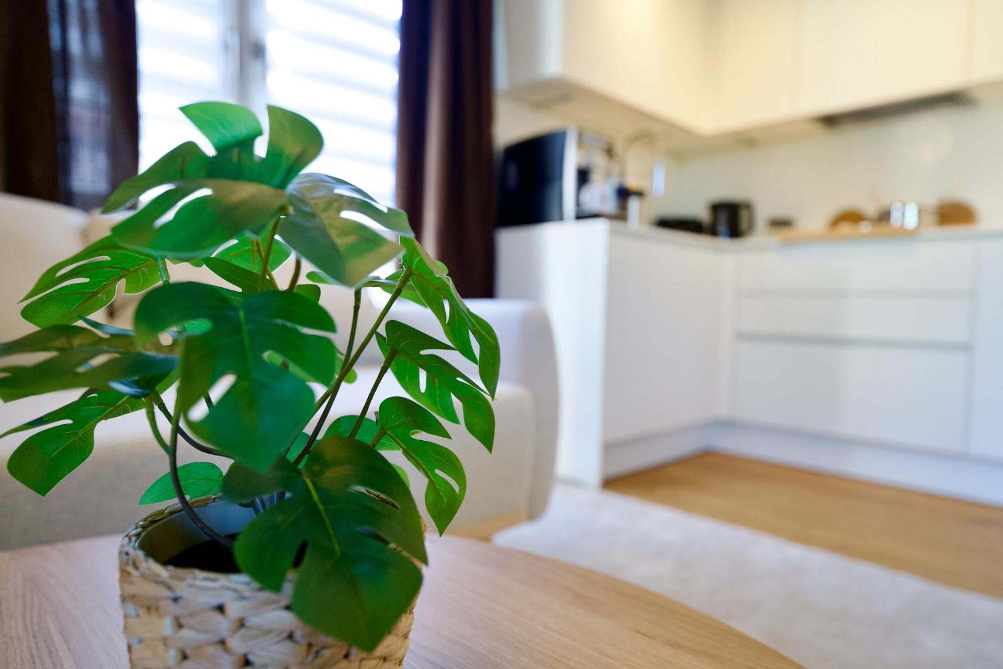 דירות צוויקאו Edler Wohnraum Schwanenteich-Oase Mit Balkon, Kaffeevollautomat, Lift & Parkplatz מראה חיצוני תמונה